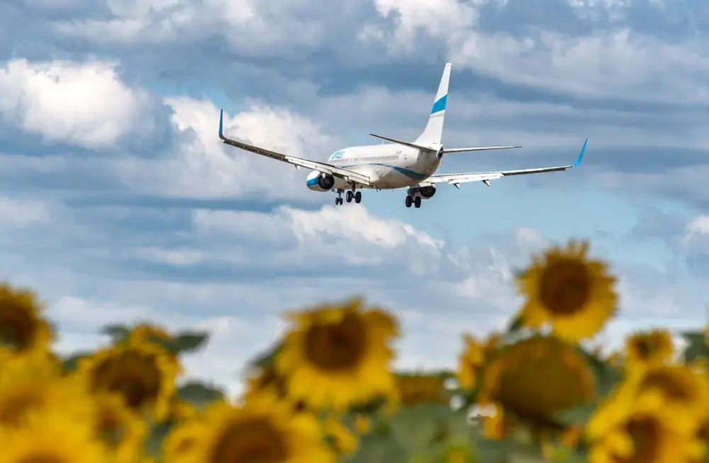 Samolot Enter Air lądujący na lotnisku w Rzeszowie